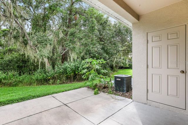 15807 FISHHAWK FALLS DRIVE, Lithia, FL 33547