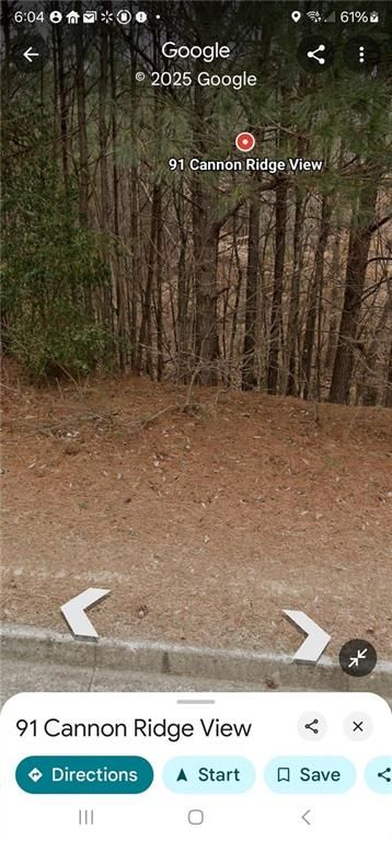 91 Cannon Ridge View, Dallas, GA 30132