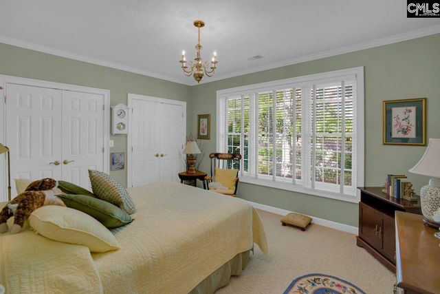 450 Oxenbridge Way, Chapin, SC 29036