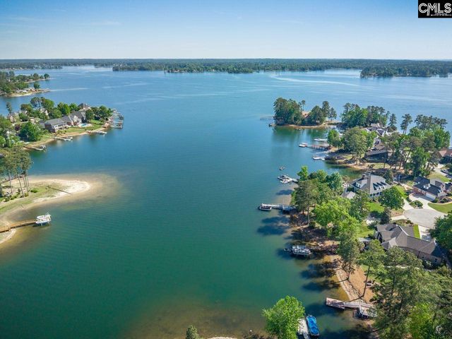 450 Oxenbridge Way, Chapin, SC 29036