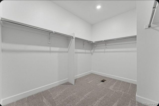 8954 Whiteclover Street, Littleton, CO 80125