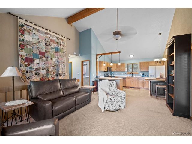 609 Gold Flake Ter, Bailey, CO 80421