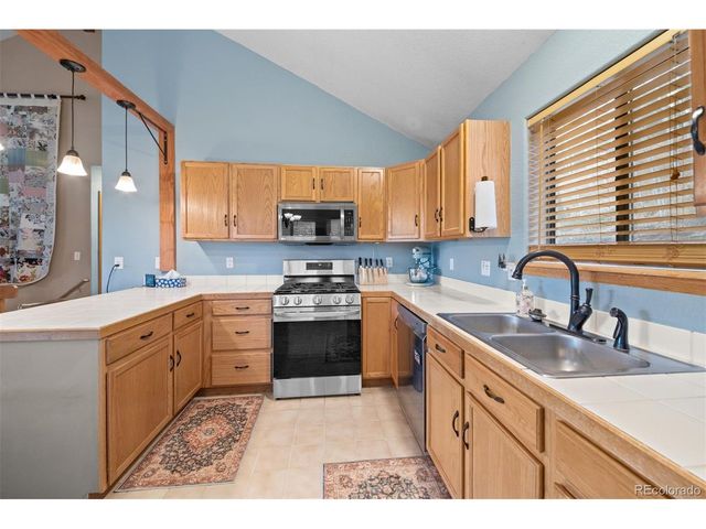 609 Gold Flake Ter, Bailey, CO 80421