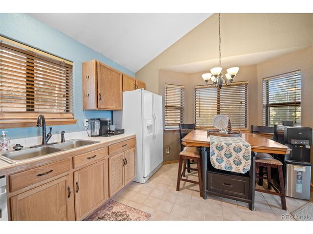 609 Gold Flake Ter, Bailey, CO 80421