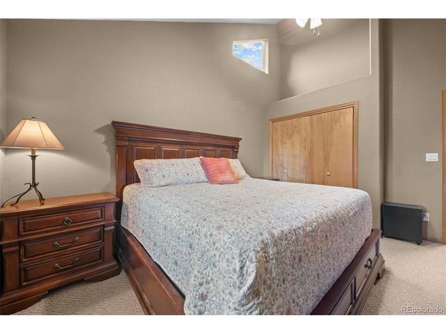 609 Gold Flake Ter, Bailey, CO 80421