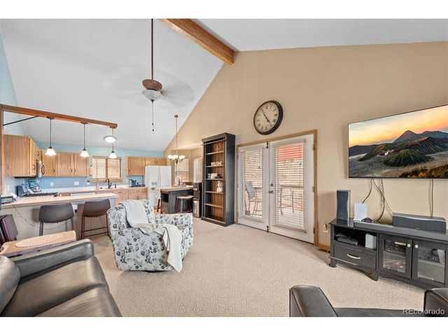 609 Gold Flake Ter, Bailey, CO 80421