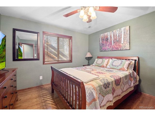 609 Gold Flake Ter, Bailey, CO 80421