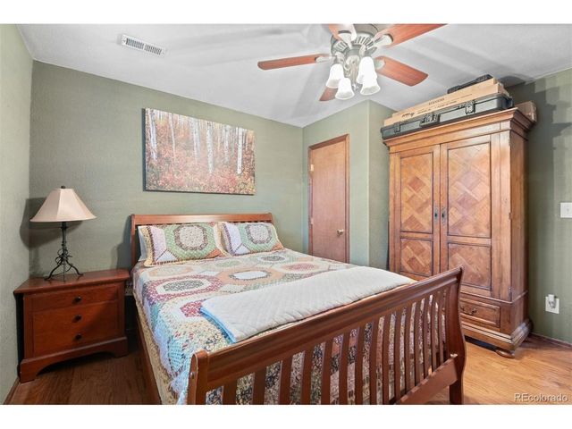 609 Gold Flake Ter, Bailey, CO 80421