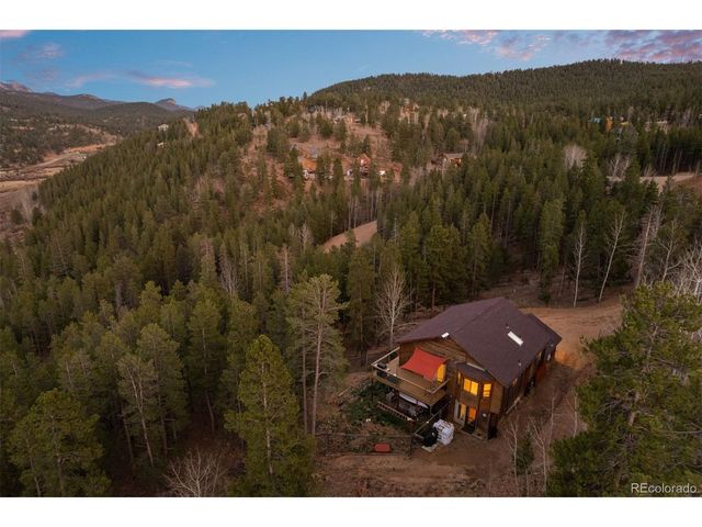 609 Gold Flake Ter, Bailey, CO 80421