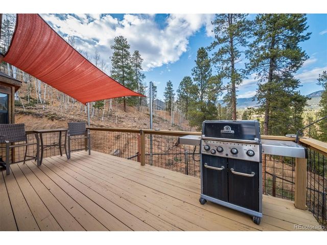 609 Gold Flake Ter, Bailey, CO 80421