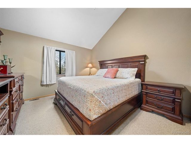 609 Gold Flake Ter, Bailey, CO 80421