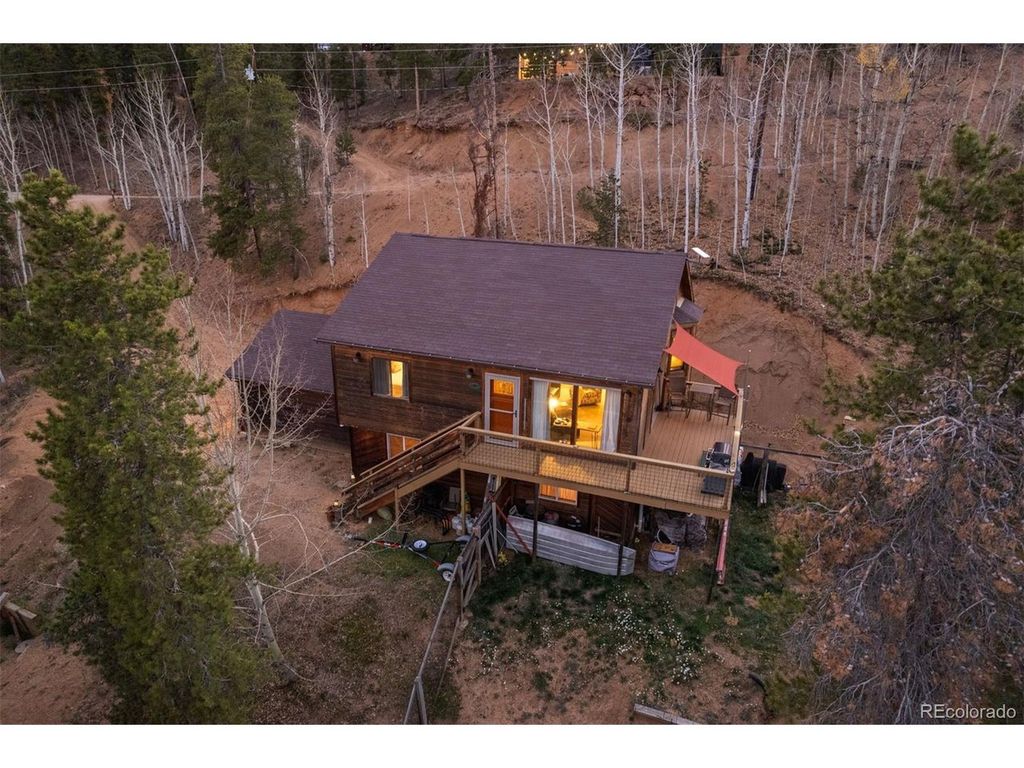 609 Gold Flake Ter, Bailey, CO 80421