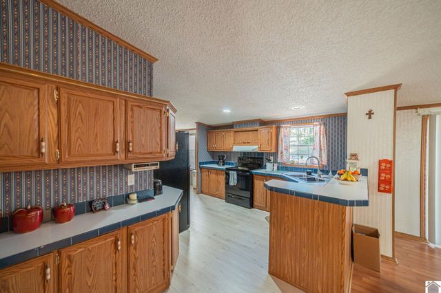 281 Jim Willson Loop, Ledbetter, KY 42058