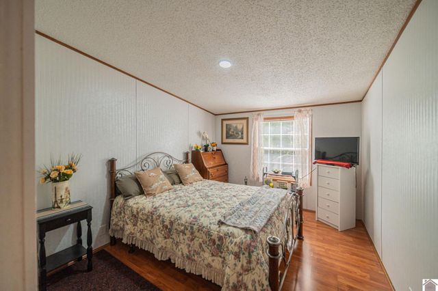 281 Jim Willson Loop, Ledbetter, KY 42058