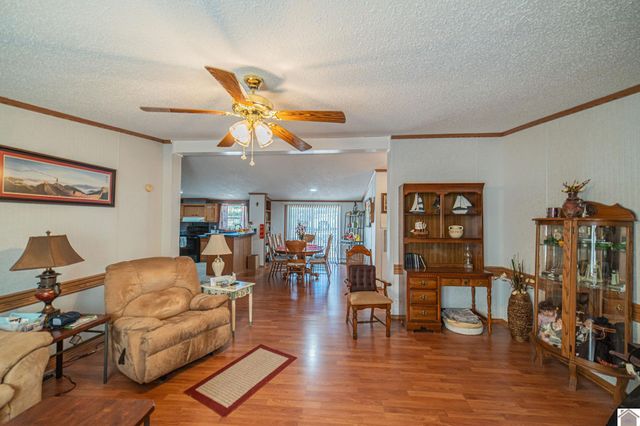 281 Jim Willson Loop, Ledbetter, KY 42058