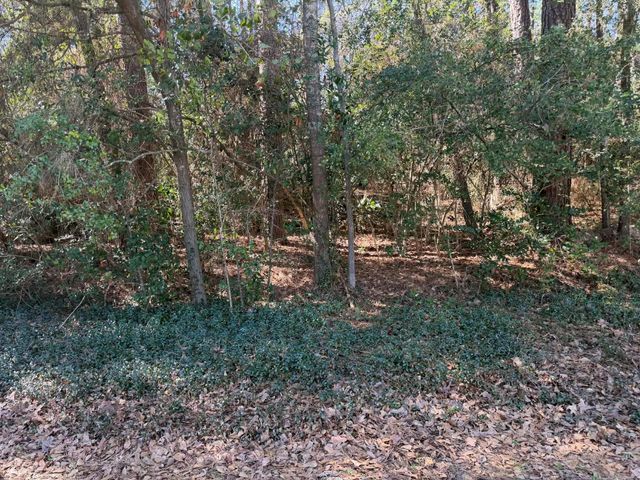 138 Paradise Valley Drive, Conroe, TX 77304