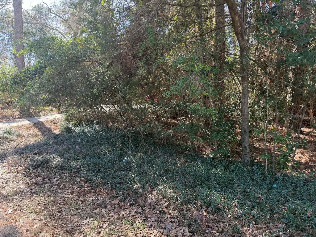 138 Paradise Valley Drive, Conroe, TX 77304