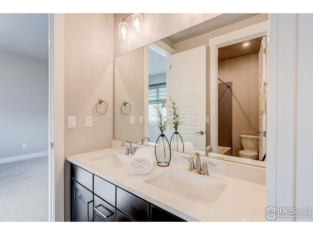 1837 Crisp Air Dr, Windsor, CO 80550