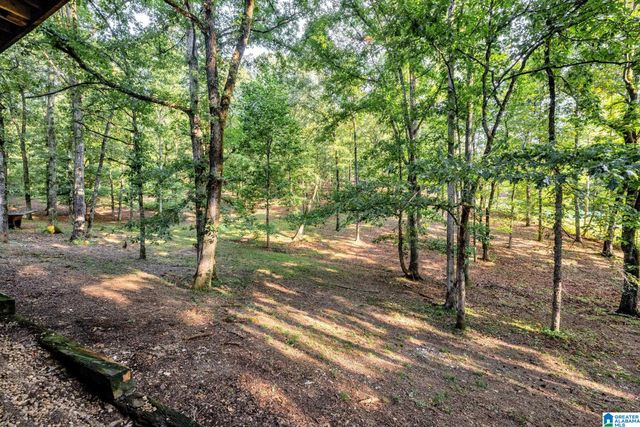 2505 HIGHWAY 93, Helena, AL 35080