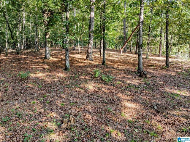 2505 HIGHWAY 93, Helena, AL 35080