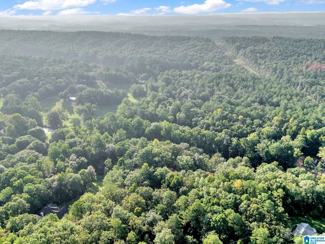2505 HIGHWAY 93, Helena, AL 35080