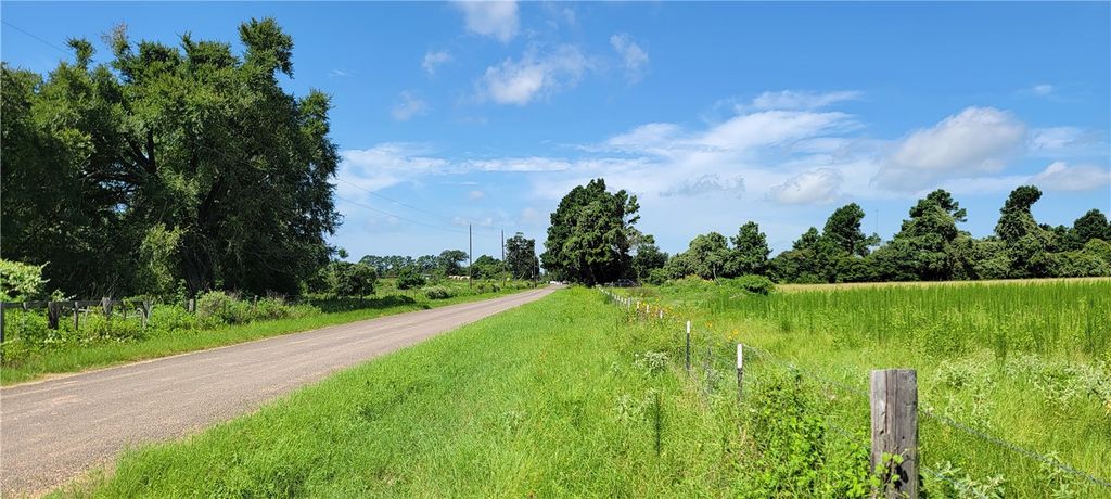 0001 Lone Star Lane, Franklin, TX 77856 — photo 3