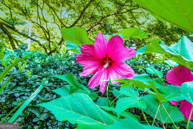 1800 Clairmont Lake A325, Decatur, GA 30033