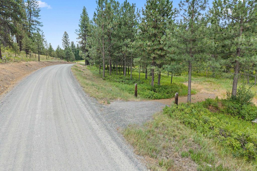 770 Mahoney Rd, Colville, WA 99114 photo 3