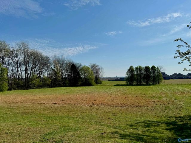 126 Canopy Road, Hazel Green, AL 35750