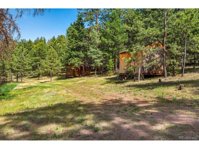 986 Apache Rd, Florissant, CO 80816