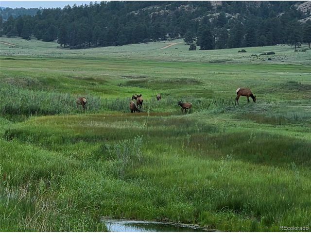 986 Apache Rd, Florissant, CO 80816
