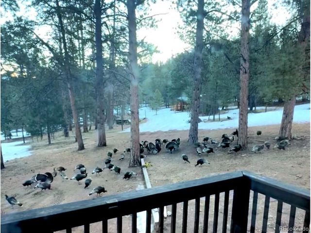 986 Apache Rd, Florissant, CO 80816
