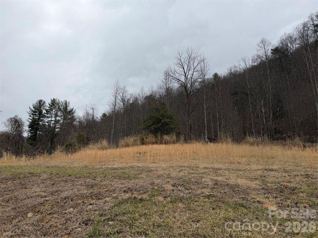 4958 Grapevine Road, Marshall, NC 28753