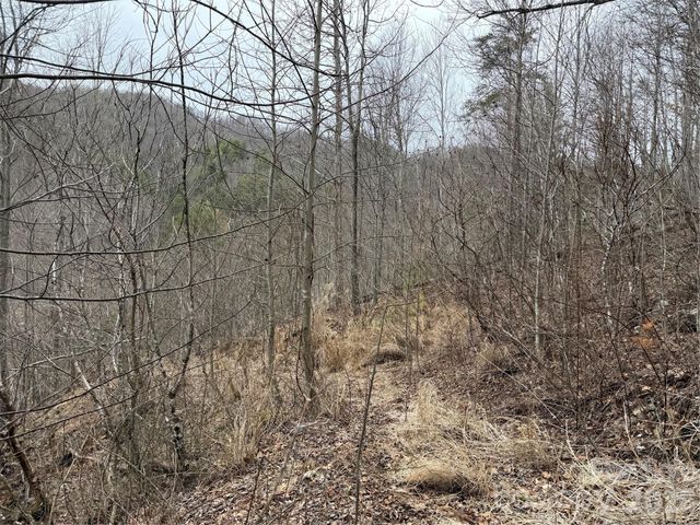 4958 Grapevine Road, Marshall, NC 28753