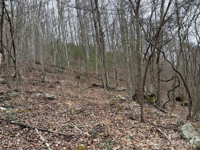 4958 Grapevine Road, Marshall, NC 28753