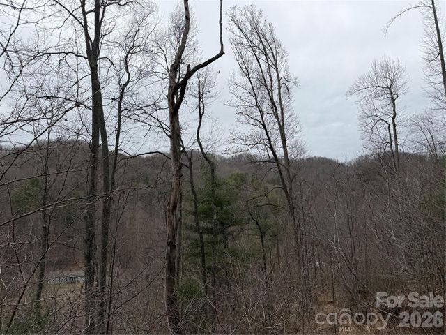 4958 Grapevine Road, Marshall, NC 28753