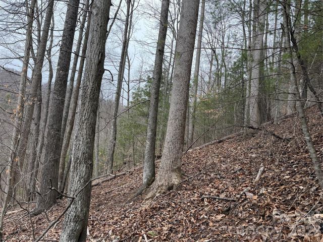 4958 Grapevine Road, Marshall, NC 28753