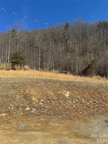 4958 Grapevine Road, Marshall, NC 28753