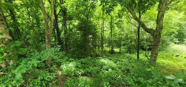 0 Highbridge Dr, Smithville, TN 37166