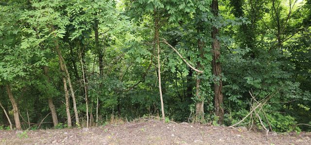 0 Highbridge Dr, Smithville, TN 37166