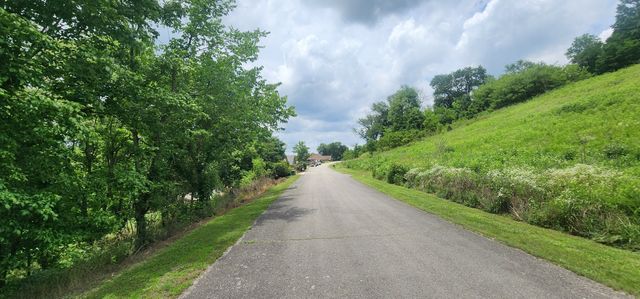 0 Highbridge Dr, Smithville, TN 37166