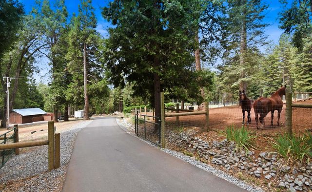 29070 Ridge View Rd, Foresthill, CA 95631