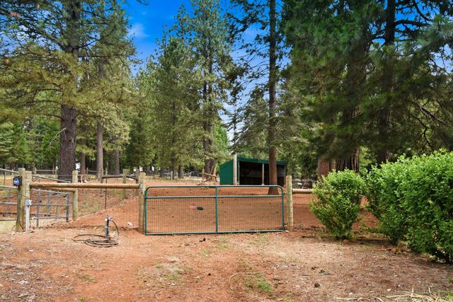 29070 Ridge View Rd, Foresthill, CA 95631