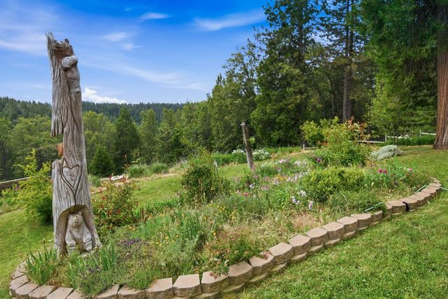 29070 Ridge View Rd, Foresthill, CA 95631