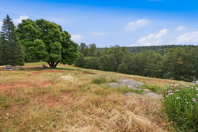 29070 Ridge View Rd, Foresthill, CA 95631