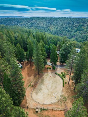 29070 Ridge View Rd, Foresthill, CA 95631