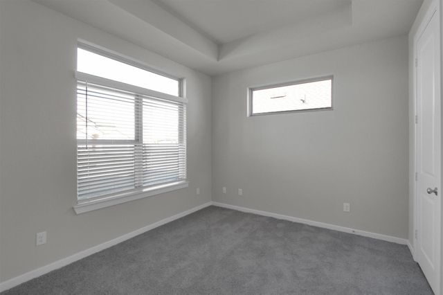 2822 Sapphire Hills Drive, Iowa Colony, TX 77583