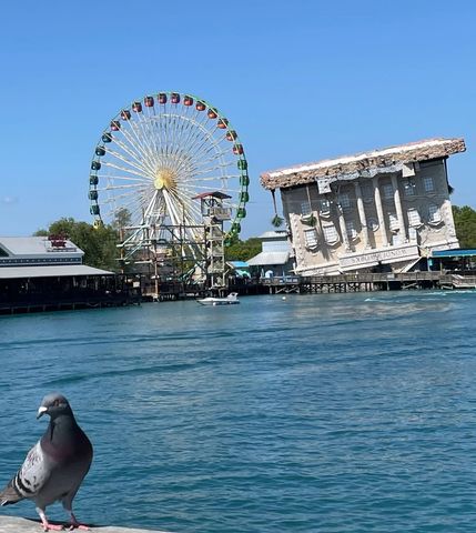 434 Barton Loop, Myrtle Beach, SC 29579