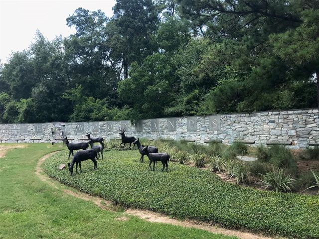 31 W Greenhill Terrace Place, The Woodlands, TX 77382