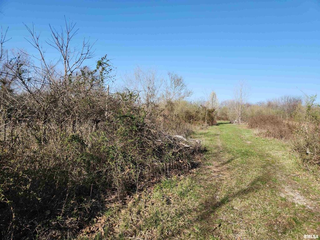 Image 14 of property listing at 1300 Tolle Lane, Mt Vernon, IL 62864